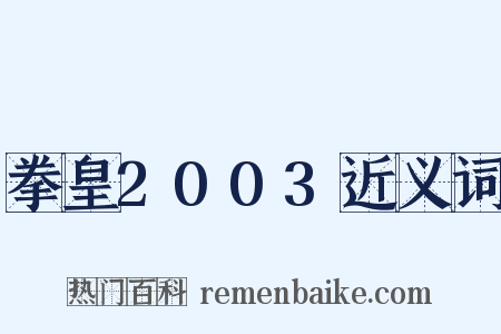拳皇2003近义词是什么意思的图片